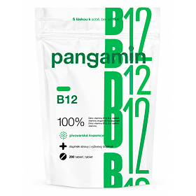 Pangamin B12