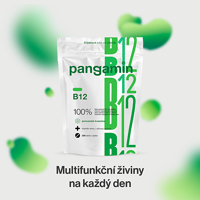 Pangamin B12