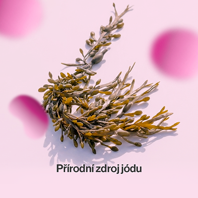 Pangamin jodamin