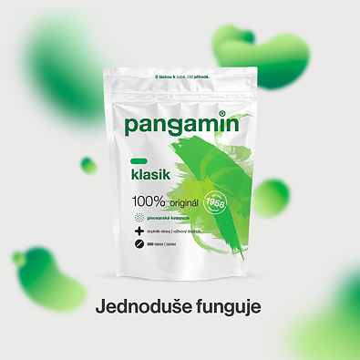 Pangamin klasik